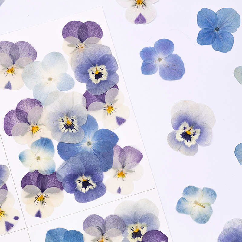 12 pièces, véritables fleurs s - Candle Supplies In avis et prix