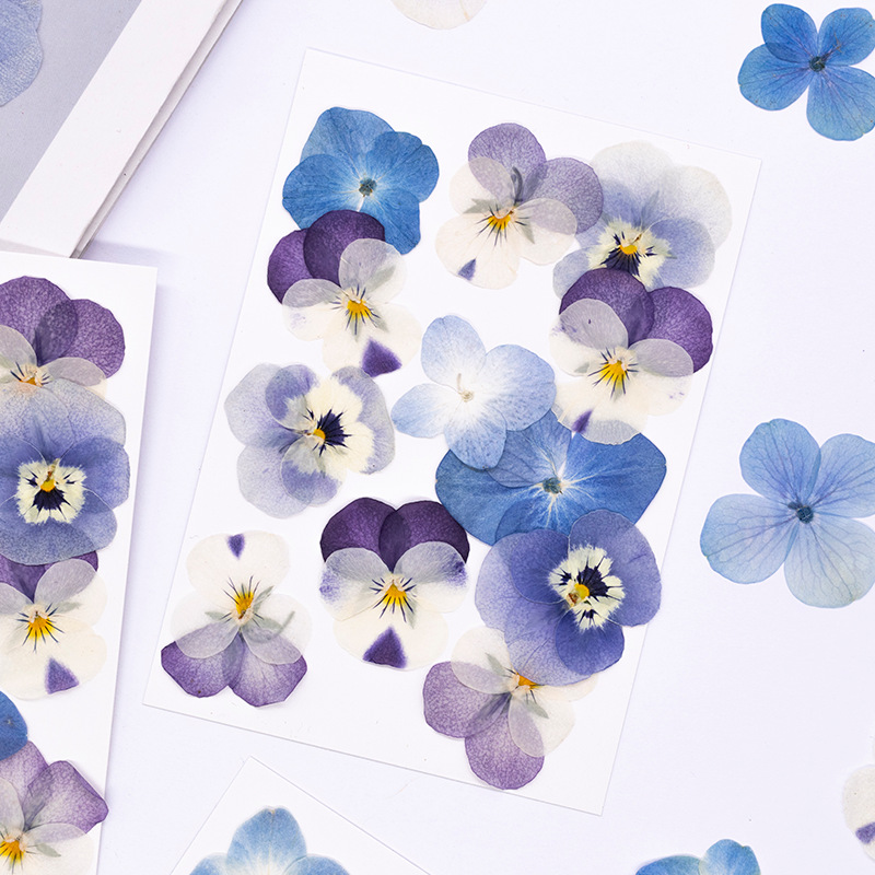12 pièces, véritables fleurs s - Candle Supplies In avis et prix