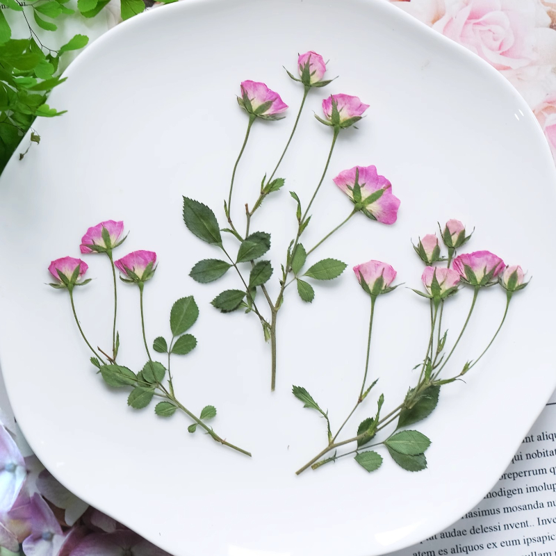 12 pièces, mini roses pressées - Candle Supplies In avis et prix
