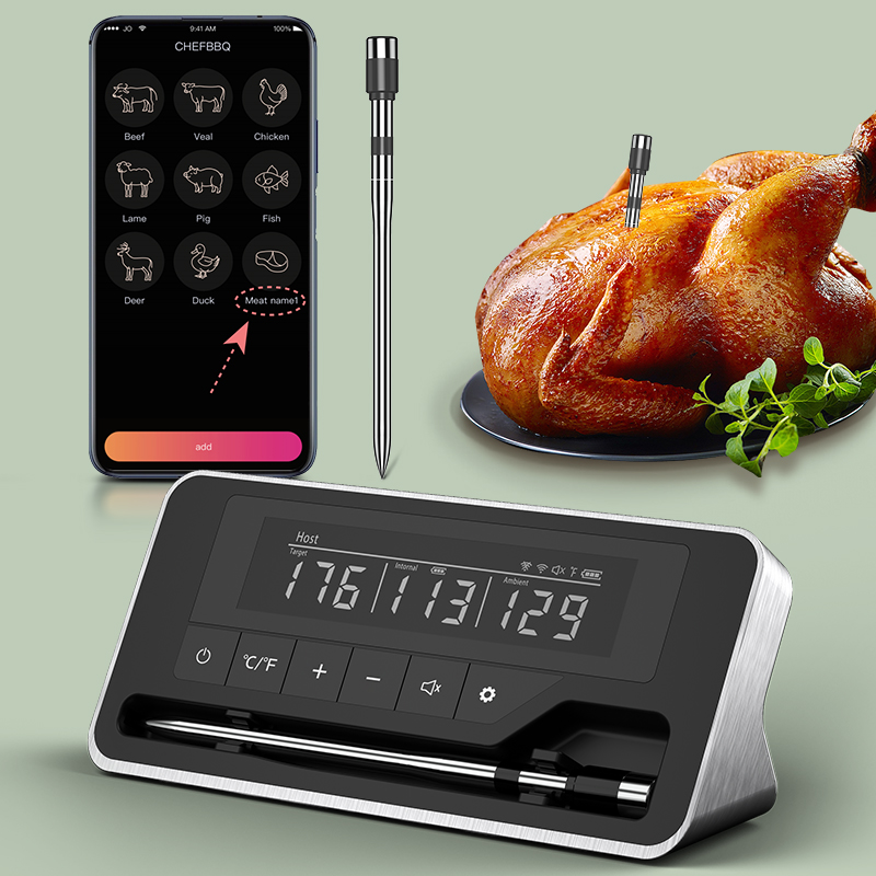 Thermomètre à viande sonde san - Digital Thermometer Probe avis et prix