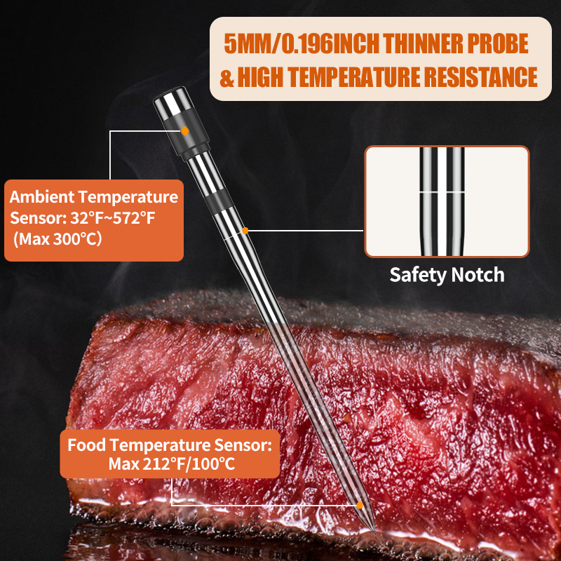 Thermomètre à viande sonde san - Digital Thermometer Probe avis et prix