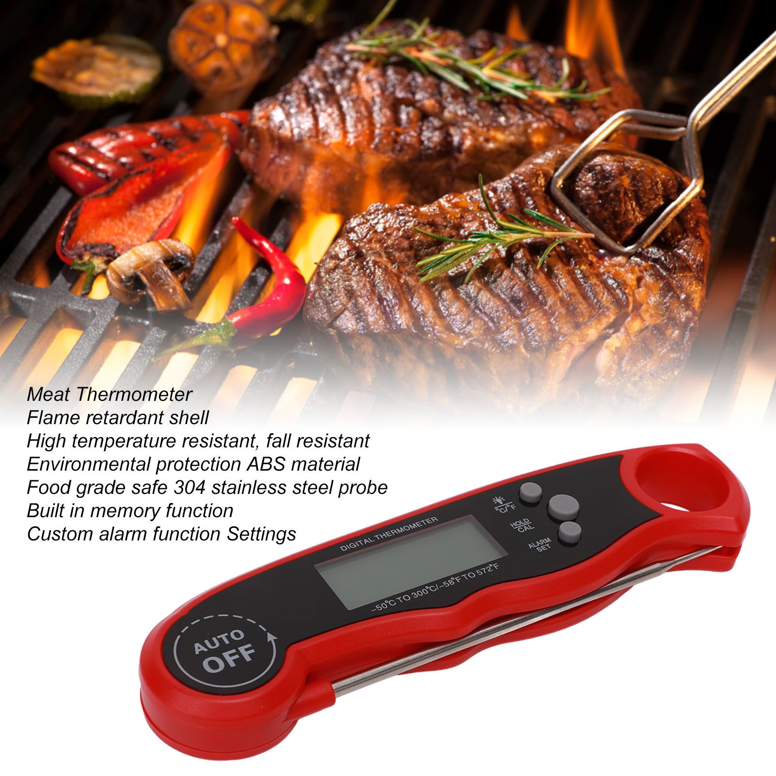 Thermomètre numérique pour via - Digital Thermometer Probe avis et prix
