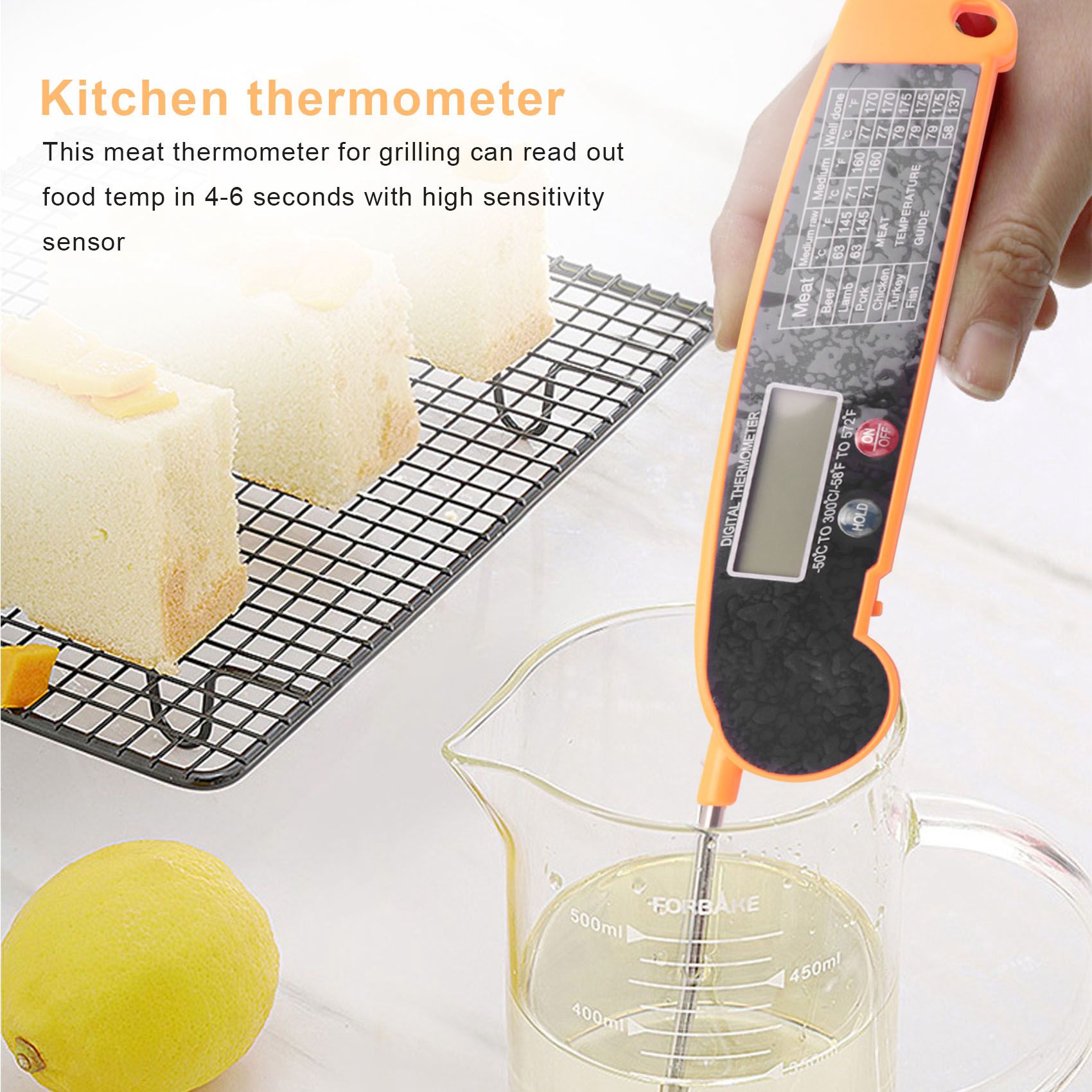 Thermomètre numérique à lectur - Digital Thermometer Probe avis et prix
